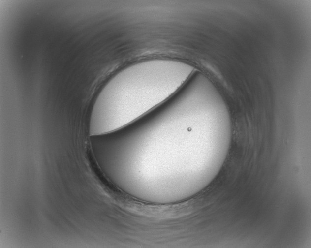 X0000068740023200604281028