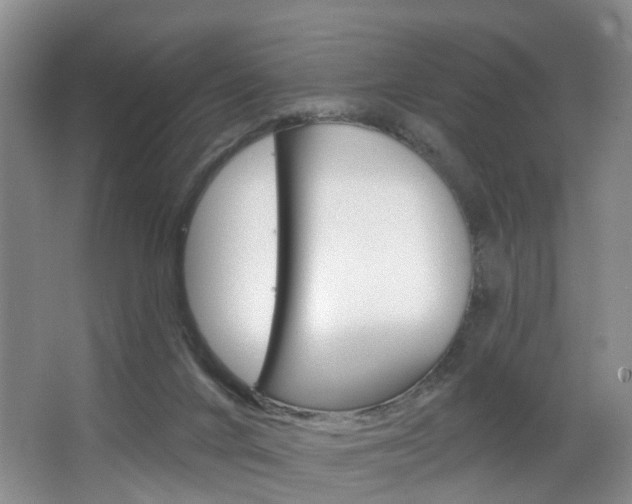 X0000068740024200604281028