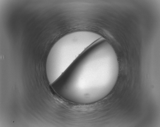 X0000068740025200604281028