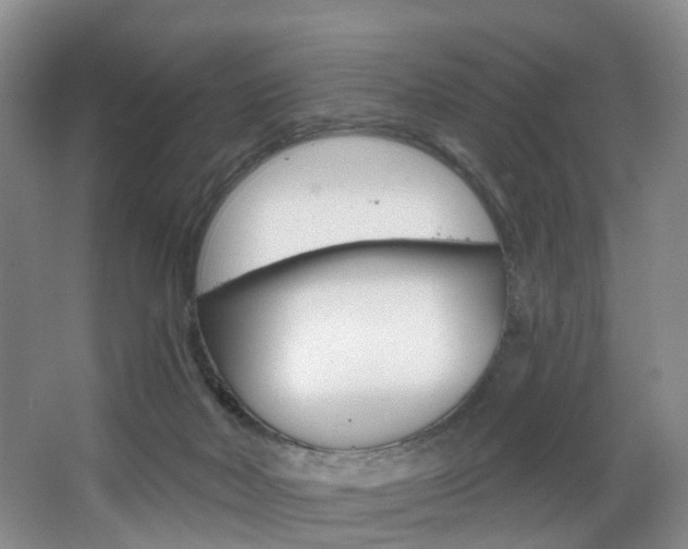 X0000068740026200604281028