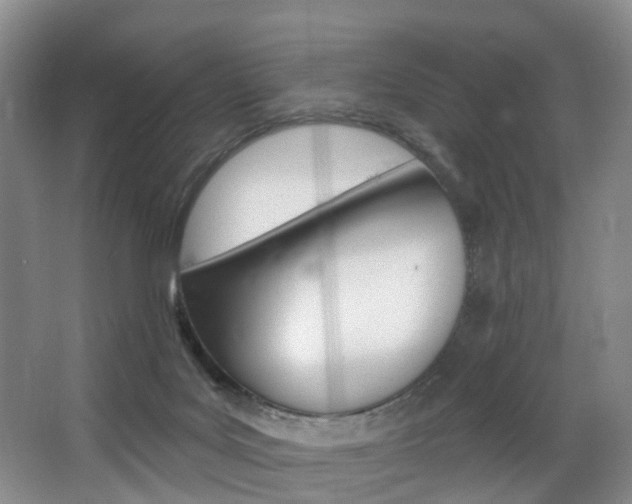 X0000068740027200604281028