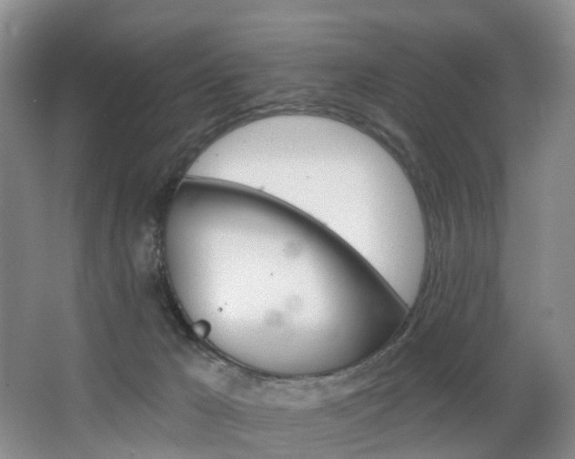 X0000068740029200604281028