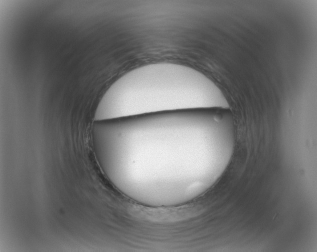 X0000068740030200604281028