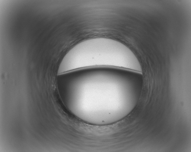 X0000068740031200604281028