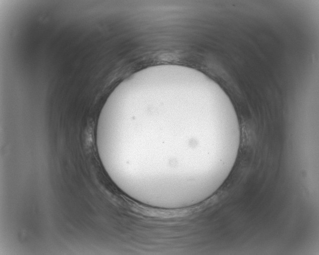 X0000068740032200604281028