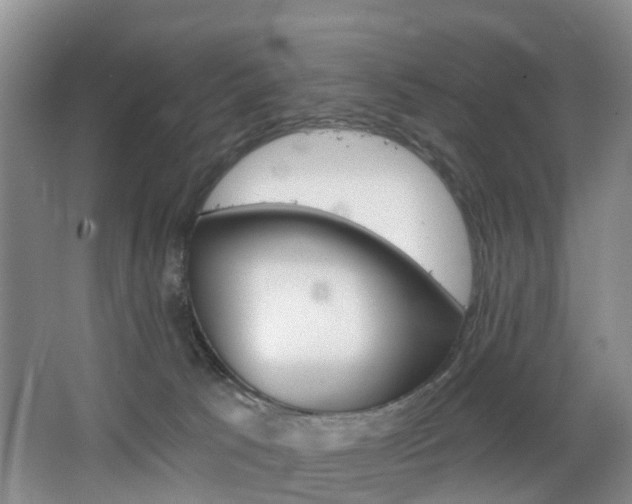 X0000068740033200604281028