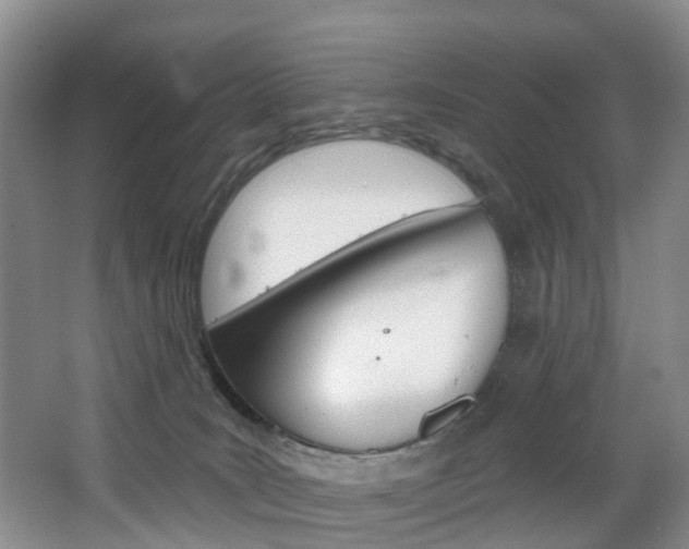 X0000068740035200604281027