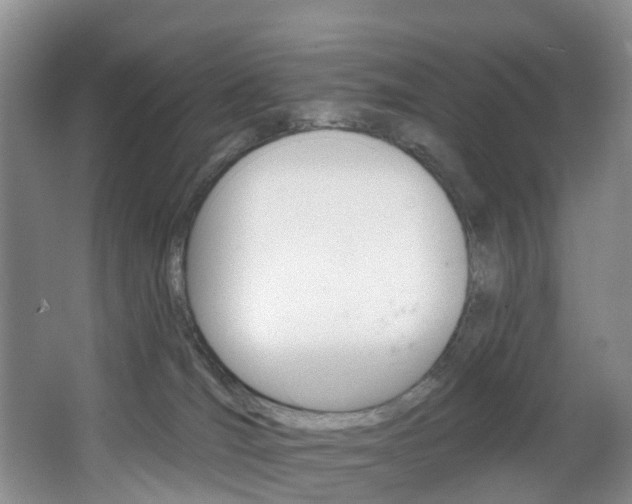 X0000068740036200604281027