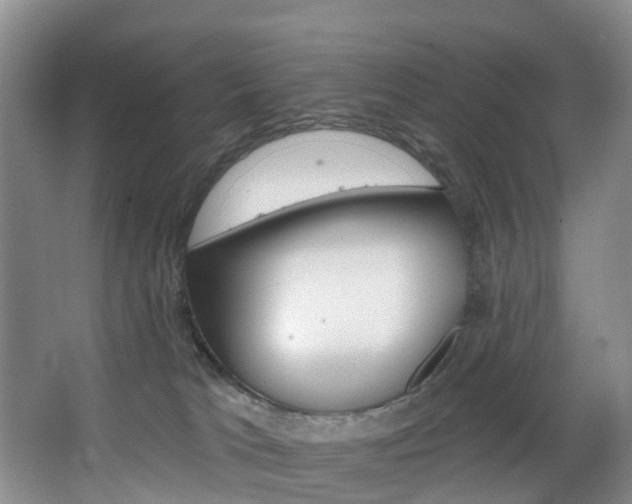 X0000068740037200604281027