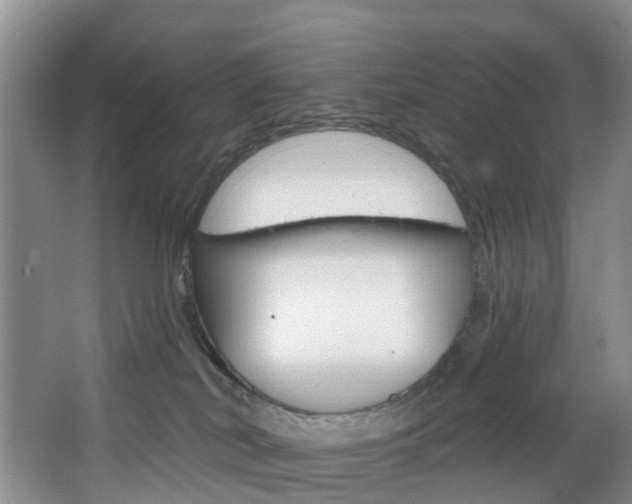 X0000068740038200604281027