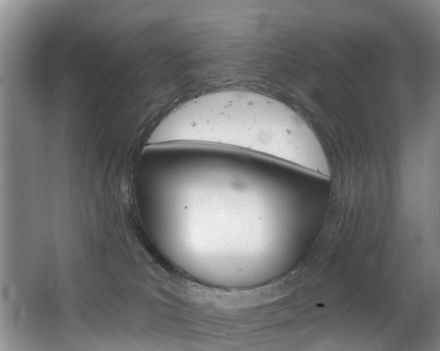 X0000068740039200604281027