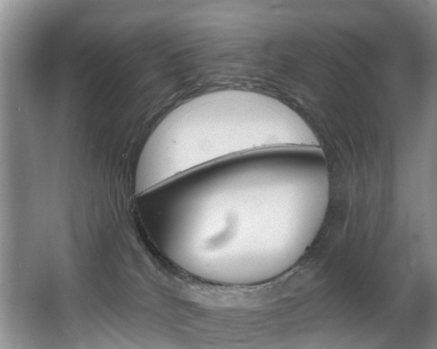 X0000068740040200604281027