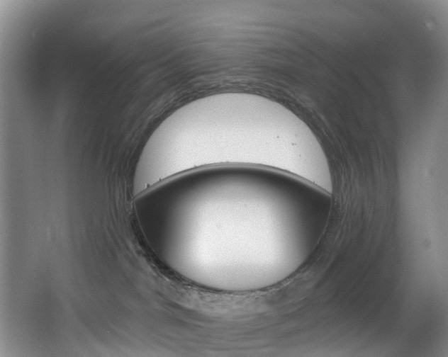 X0000068740044200604281027