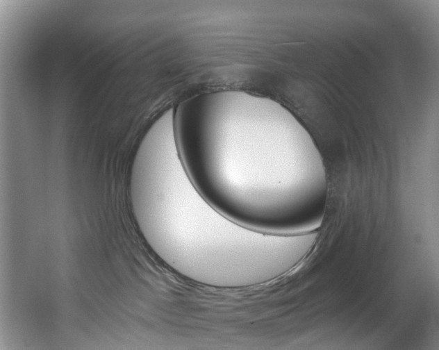 X0000068740045200604281027