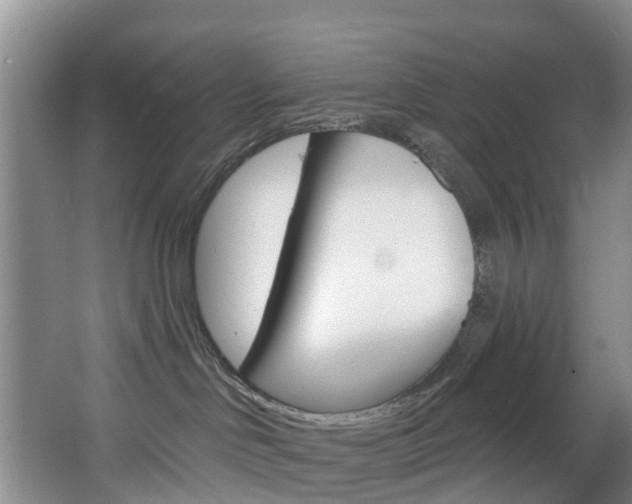 X0000068740046200604281027