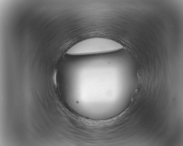 X0000068740047200604281027