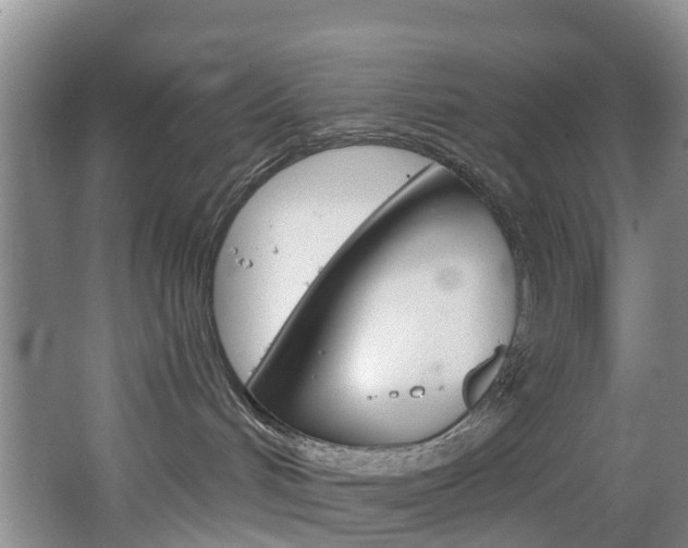 X0000068740048200604281027