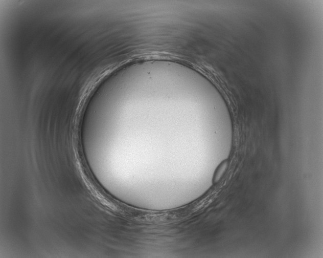 X0000068740049200604281026