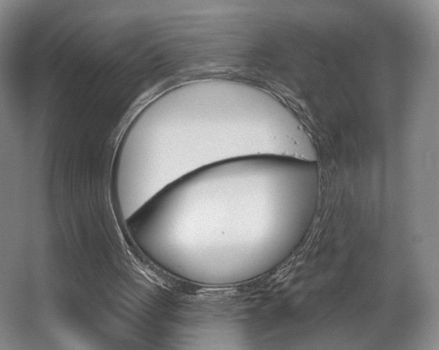 X0000068740051200604281026