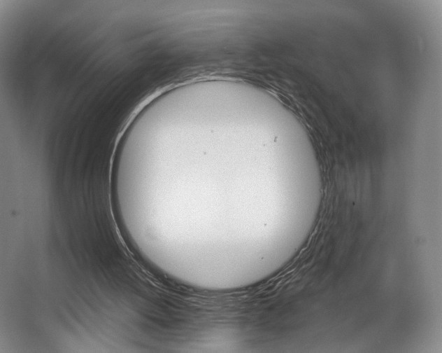 X0000068740052200604281027