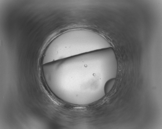 X0000068740053200604281027