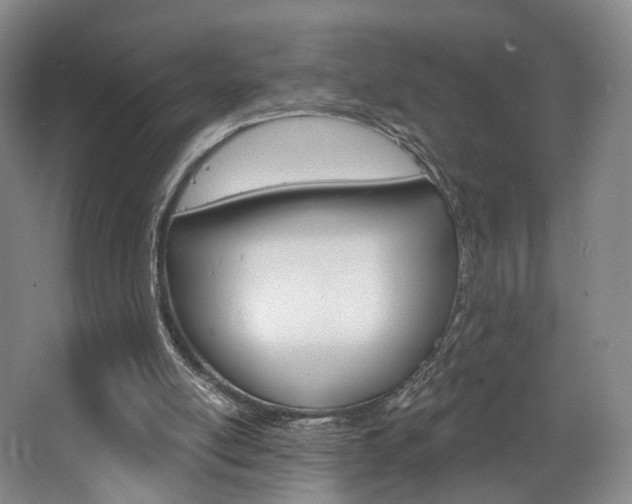 X0000068740054200604281027