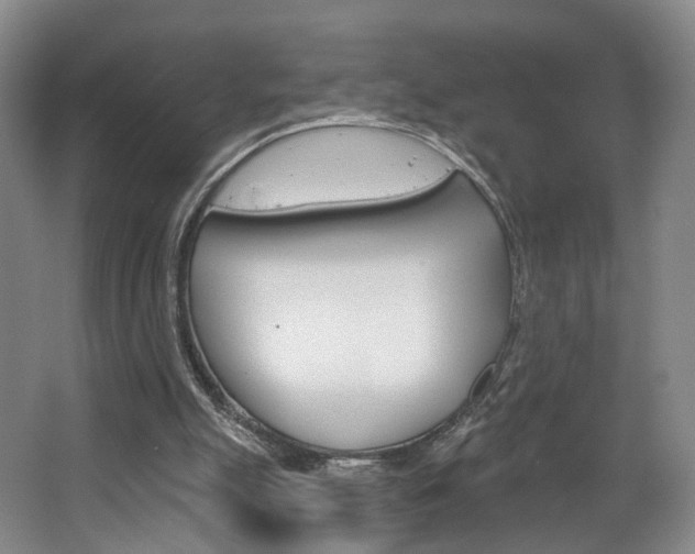 X0000068740055200604281027