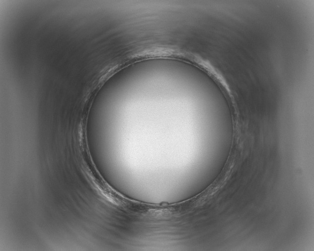 X0000068740057200604281027