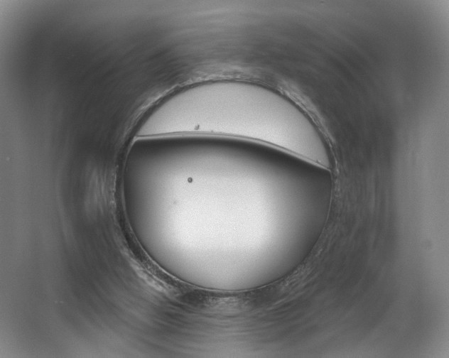 X0000068740058200604281027