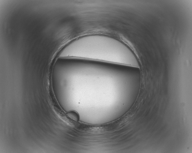 X0000068740059200604281027