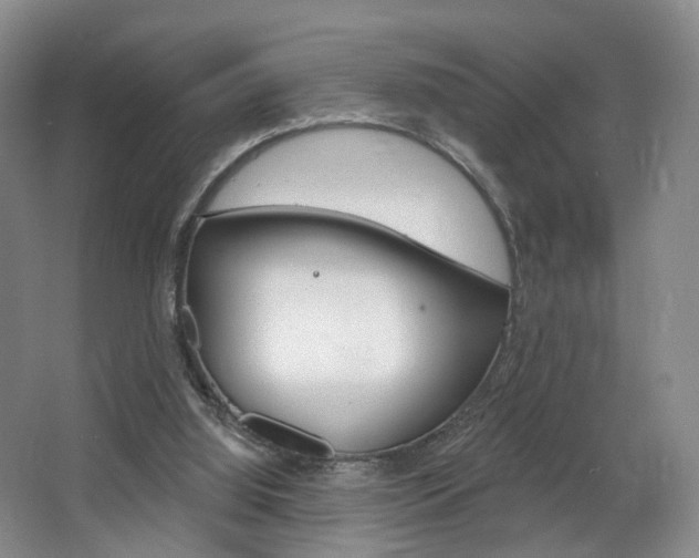 X0000068740060200604281027