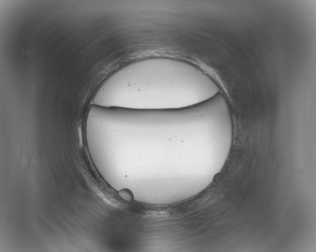 X0000068740061200604281027