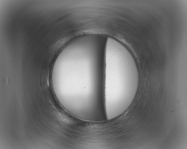 X0000068740062200604281027