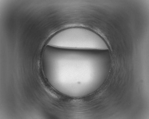 X0000068740063200604281027