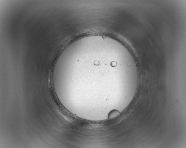 X0000068740065200604281027