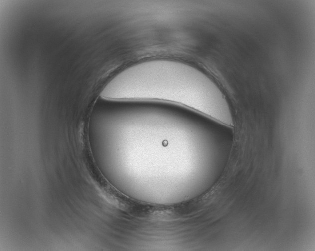 X0000068740066200604281027