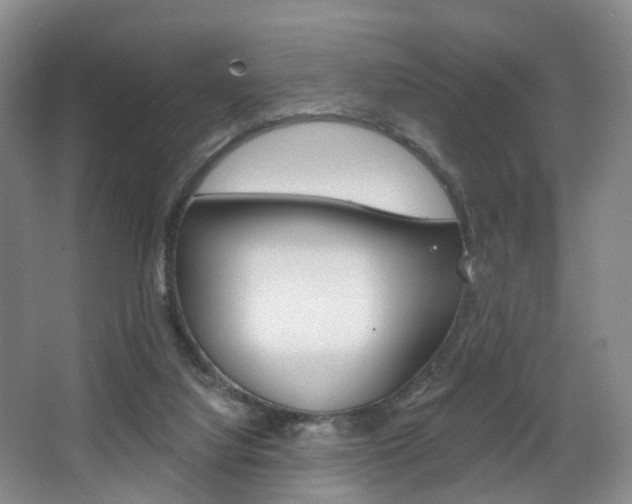 X0000068740068200604281027