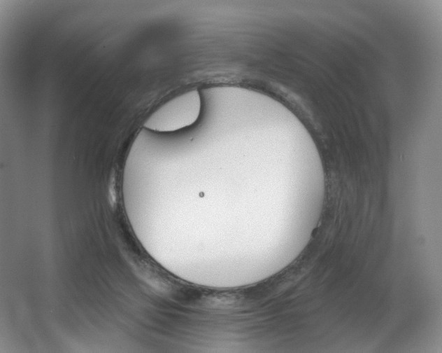 X0000068740069200604281027