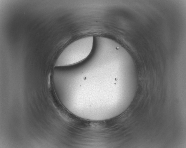 X0000068740070200604281027