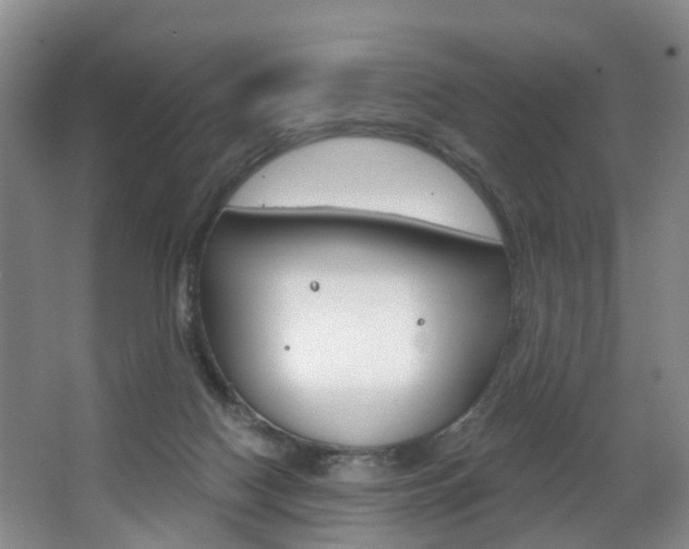 X0000068740074200604281027