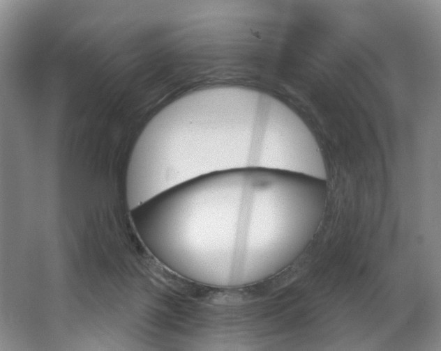 X0000068740075200604281027