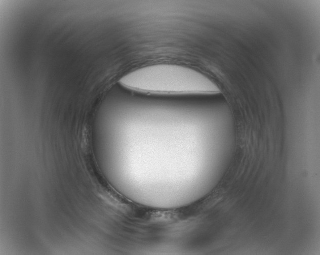 X0000068740077200604281027