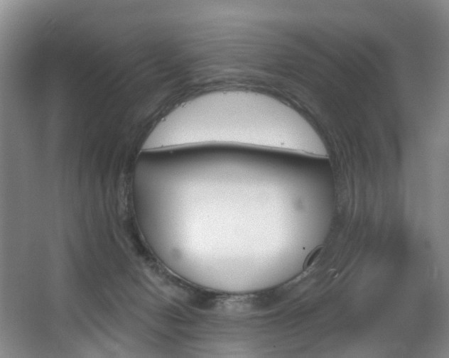 X0000068740078200604281027