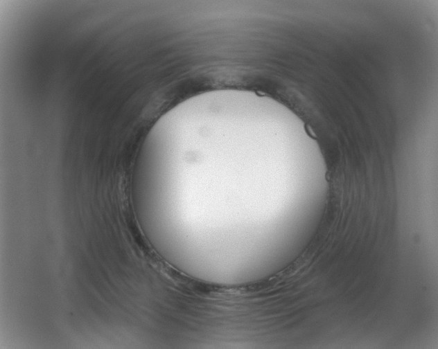 X0000068740079200604281027