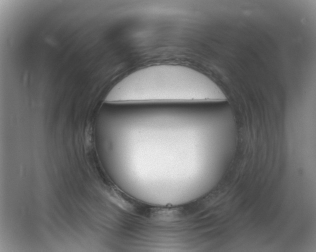 X0000068740081200604281027