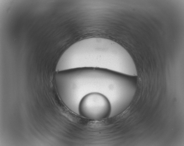 X0000068740082200604281027