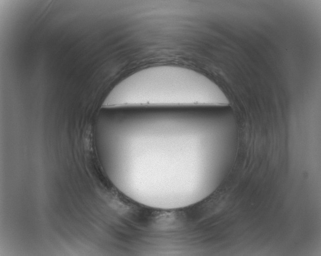 X0000068740083200604281027