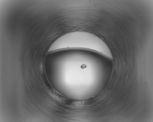 X0000068740084200604281027