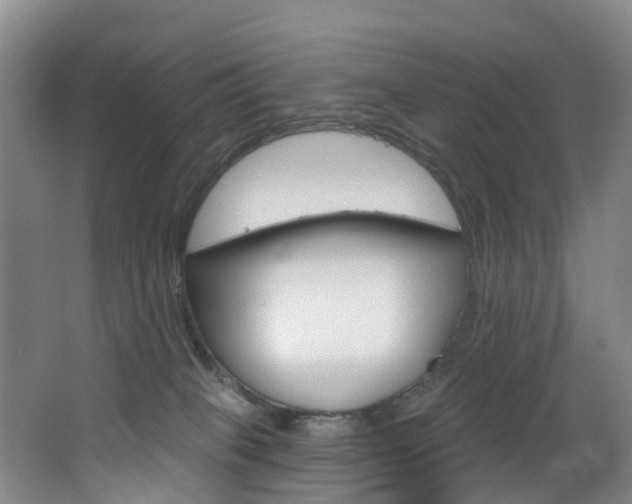 X0000068740085200604281027