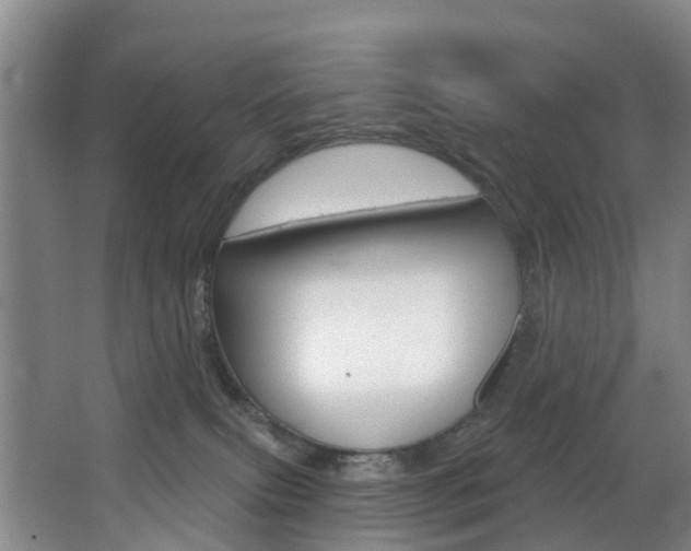 X0000068740087200604281027